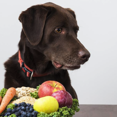 โภชนบำบัด (Nutrition Therapy)